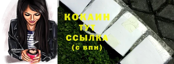 винт Гусиноозёрск