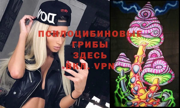 винт Гусиноозёрск