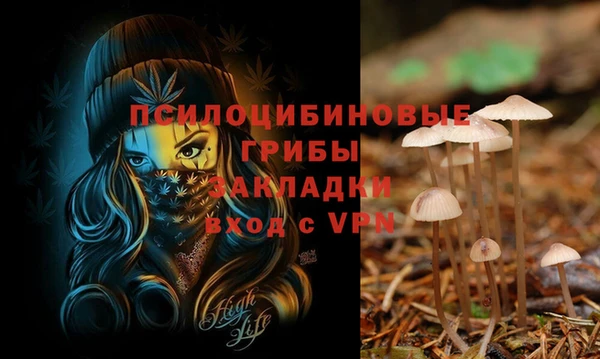 винт Гусиноозёрск